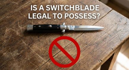 Is Possession of a Switchblade the Same as a Firearm in Relation to Second Amendment Protection?